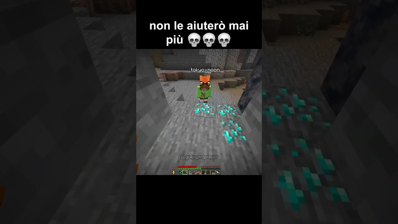 HELL NAHHH  #minecraft