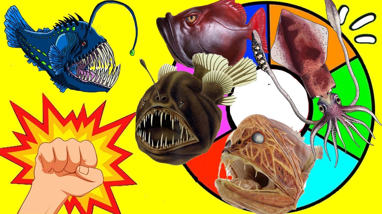 RULETA SORPRESA de ANIMALES ABISALES | ANIMALES DE LAS PROFUNDIDADES | Animales Marinos