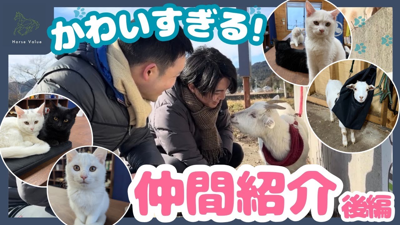 【愛らしい】Horse Valueの仲間紹介【後編・馬以外の仲間編】