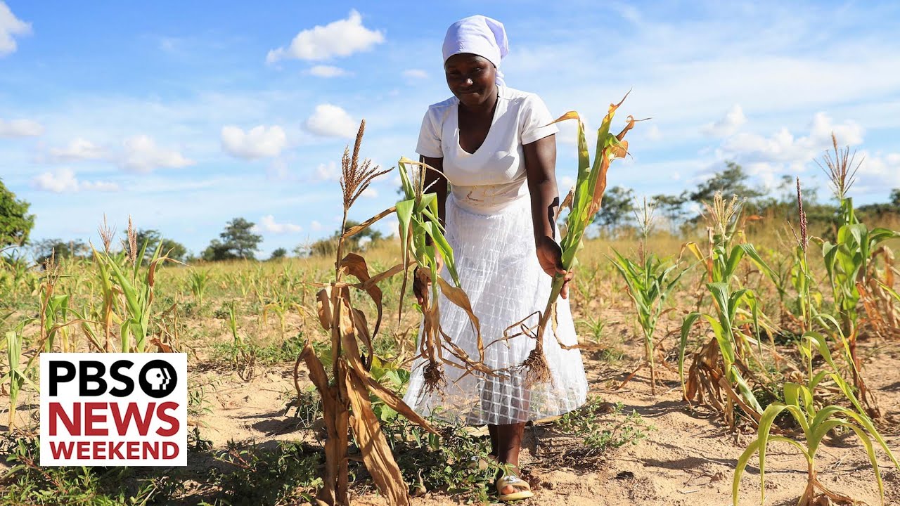 Extreme drought plunges millions in southern Africa into hunger crisis