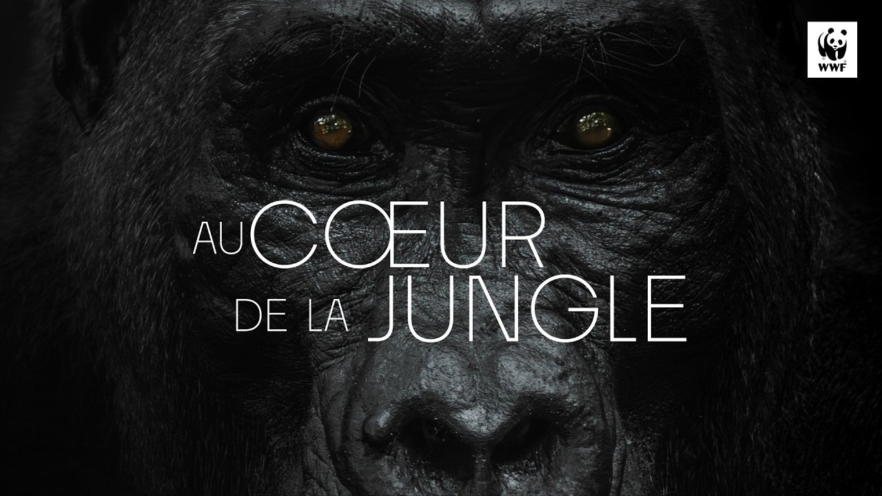 AU COEUR DE LA JUNGLE - Le film (Laetitia Casta, Hugo Hebbe)