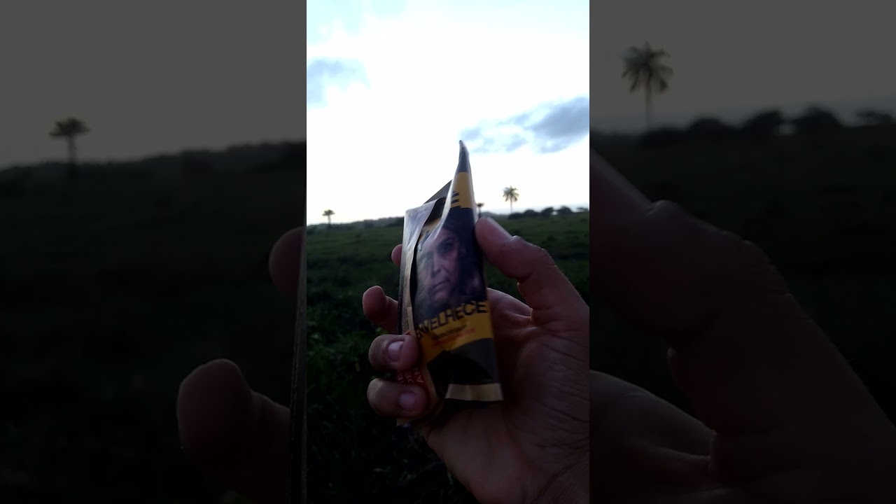 Tabaco Org&acirc;nico Amsterdam