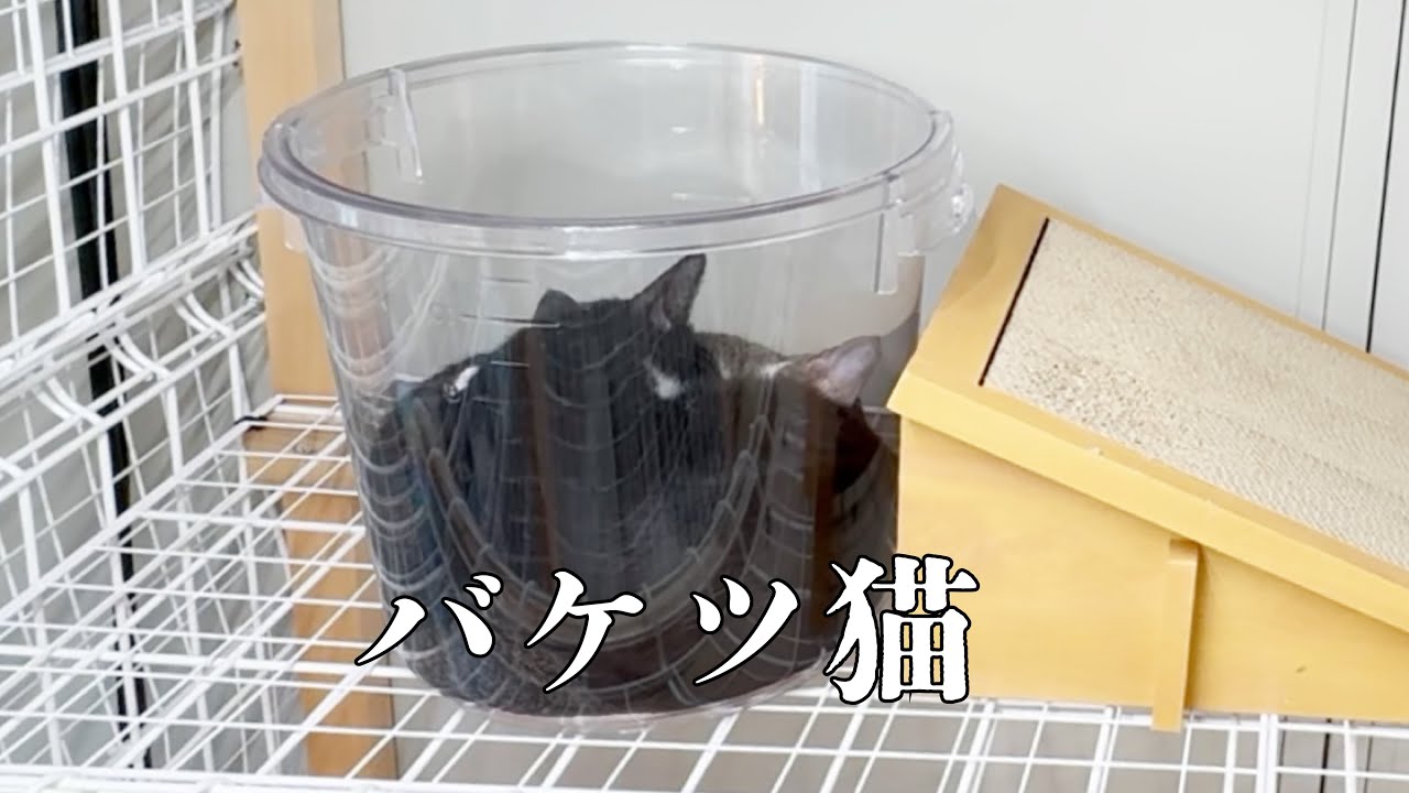 再会の未来都市