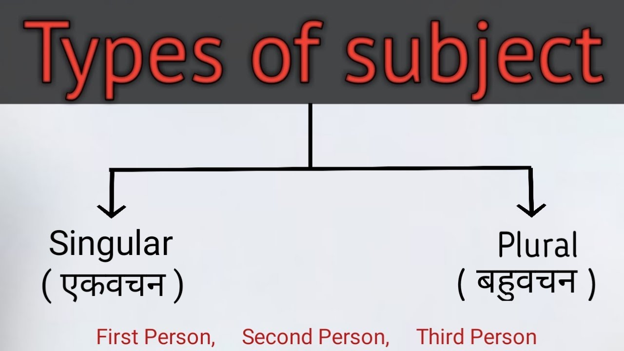 Subject Types - Singular & Plural | First person, Second person, Third person| Learn English With Me