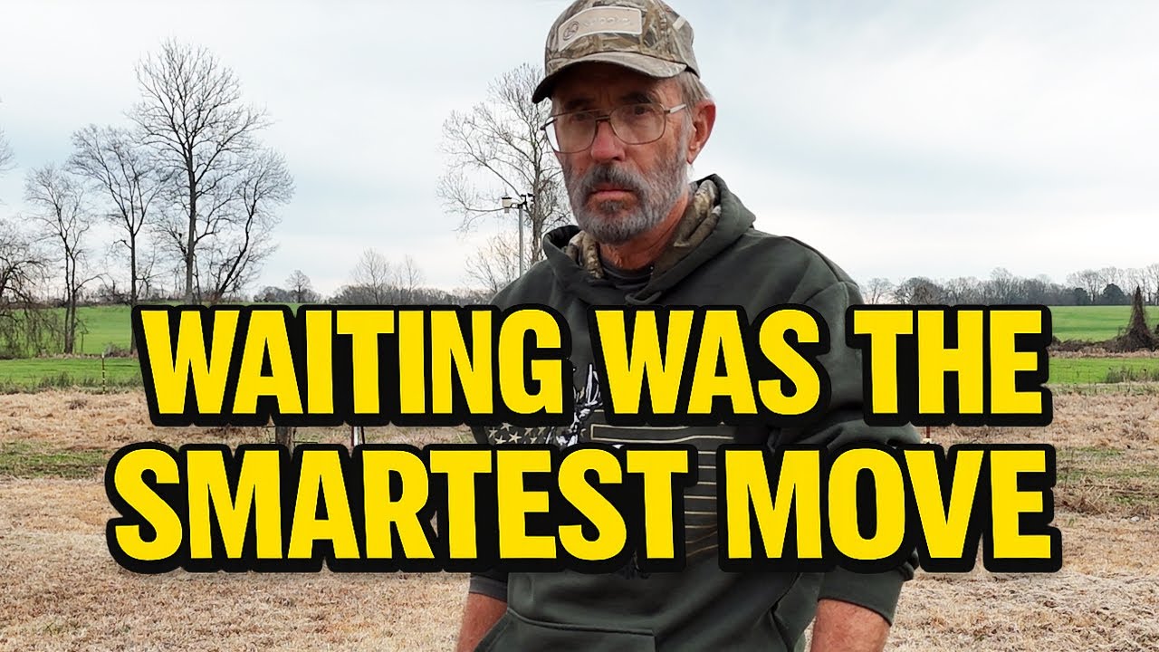 How We Knew When to Wait on Our Homestead