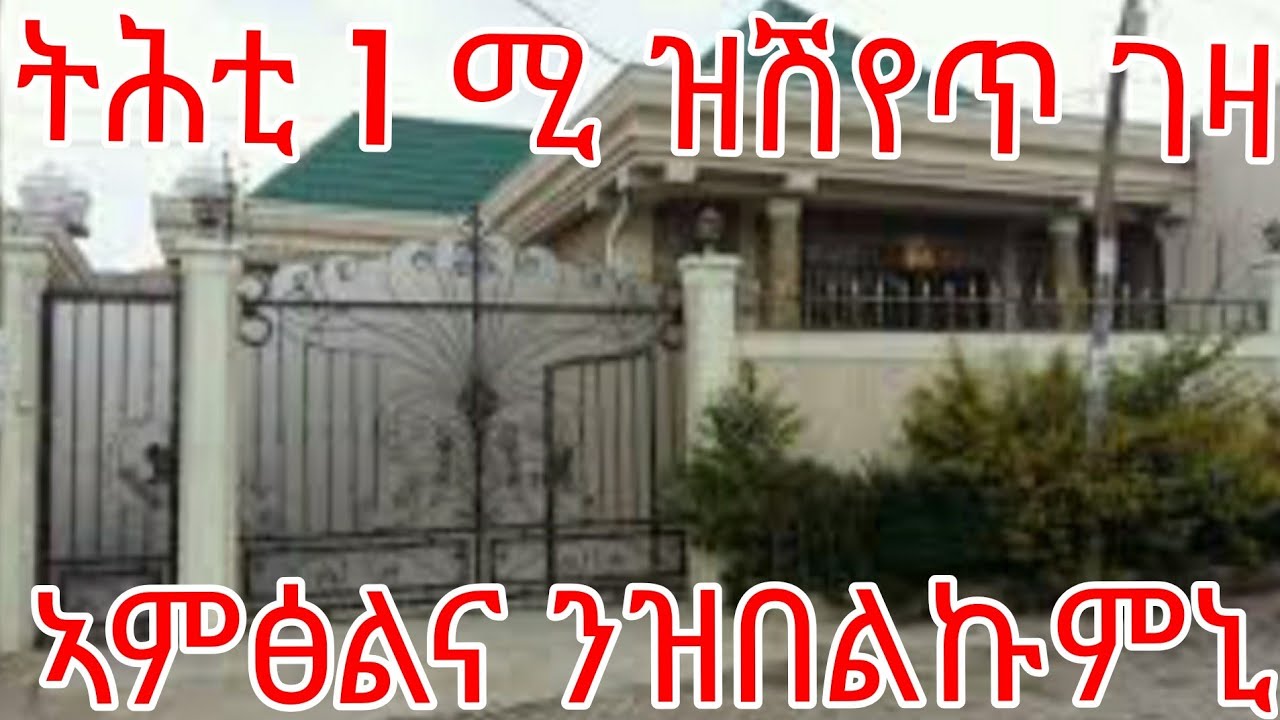 ትሕቲ 1 ሚልየን ዝሽየጥ ገዛ ኣምፅልና ንዝበልኩምኒ👍
