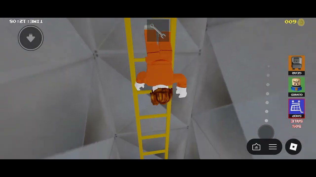 I escaped from Barry prison