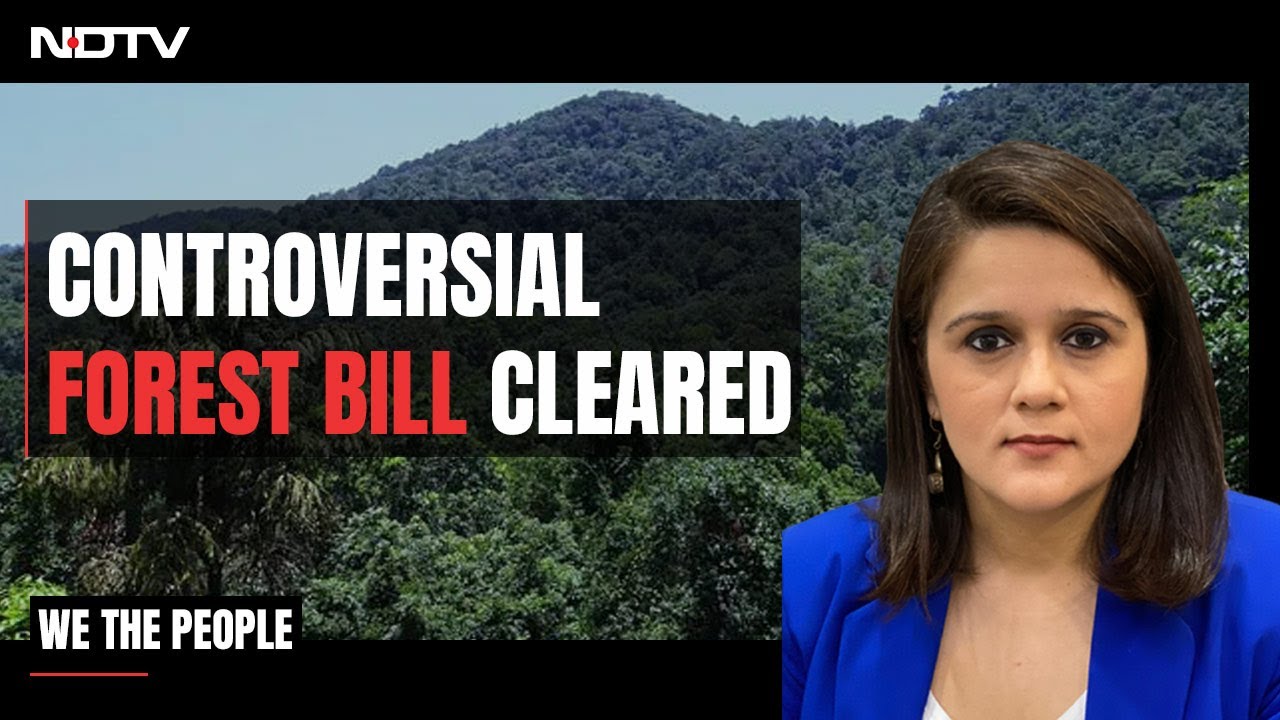 Forest Bill Cleared: Is This The Law We Need to Fight Climate Change? | We The People