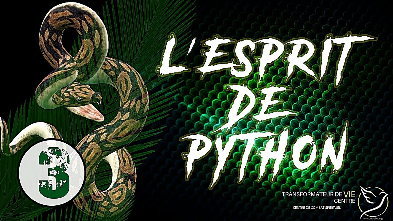 L'ESPRIT DE PYTHON (3) - COMBAT SPIRITUEL