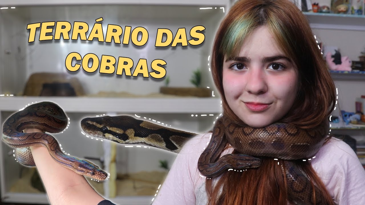 REDECORANDO O TERRÁRIO DAS MINHAS COBRAS! 🐍🍂