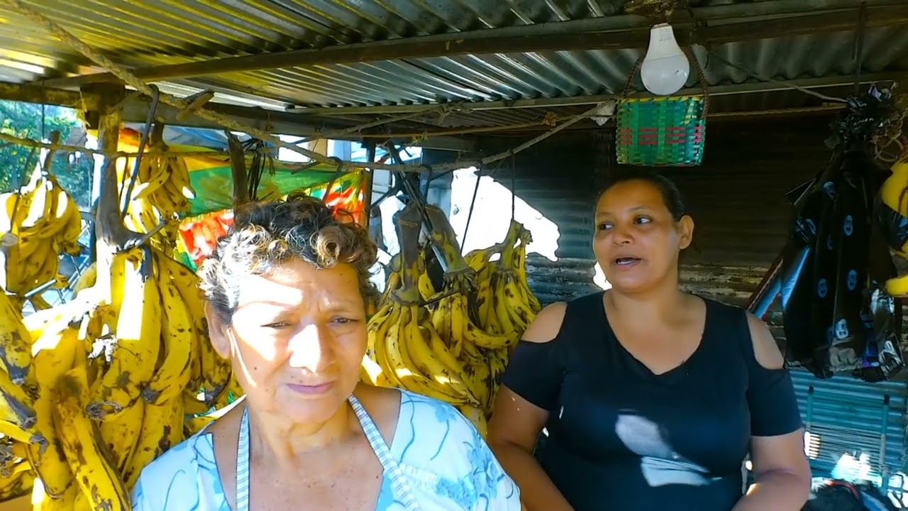 VENTA DE PLATANOS 
