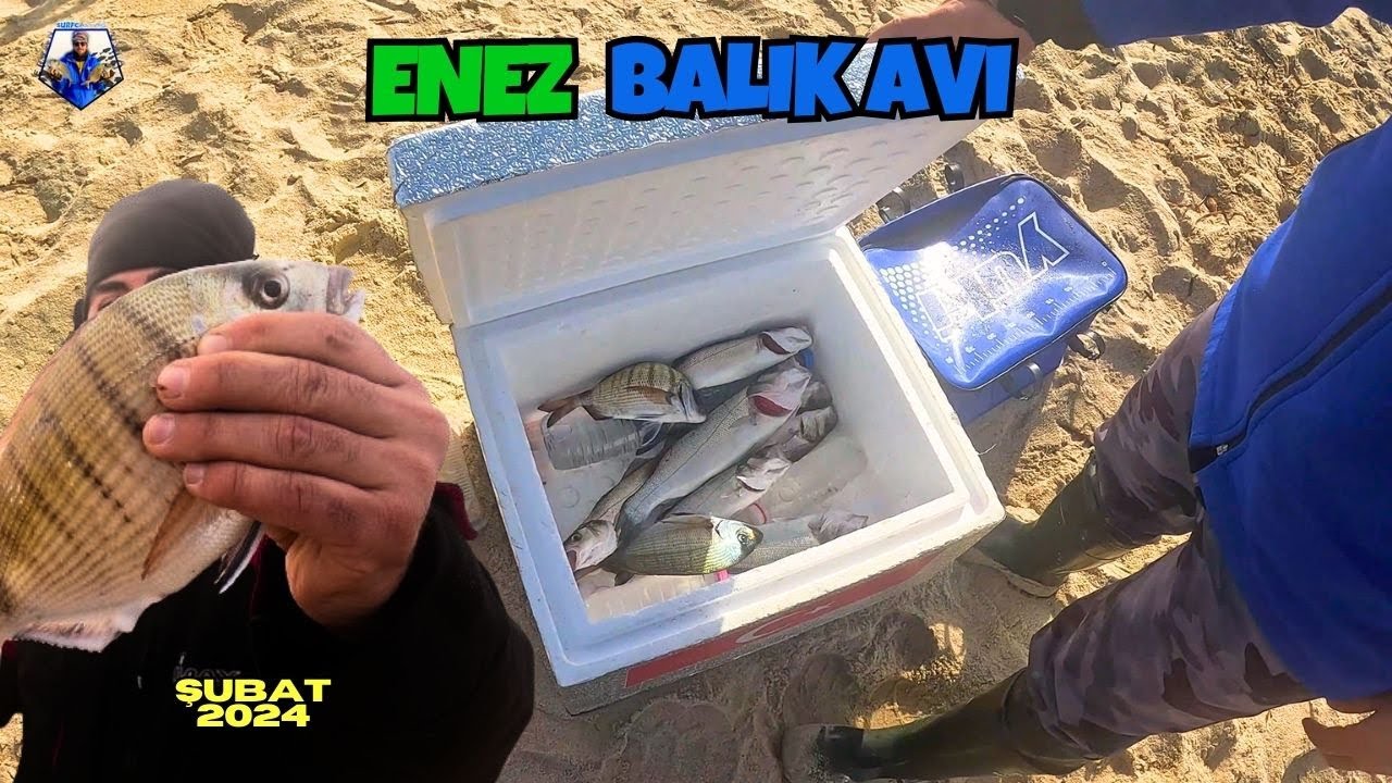 PATLAK HAVA YEMLİ LEVREK AVI