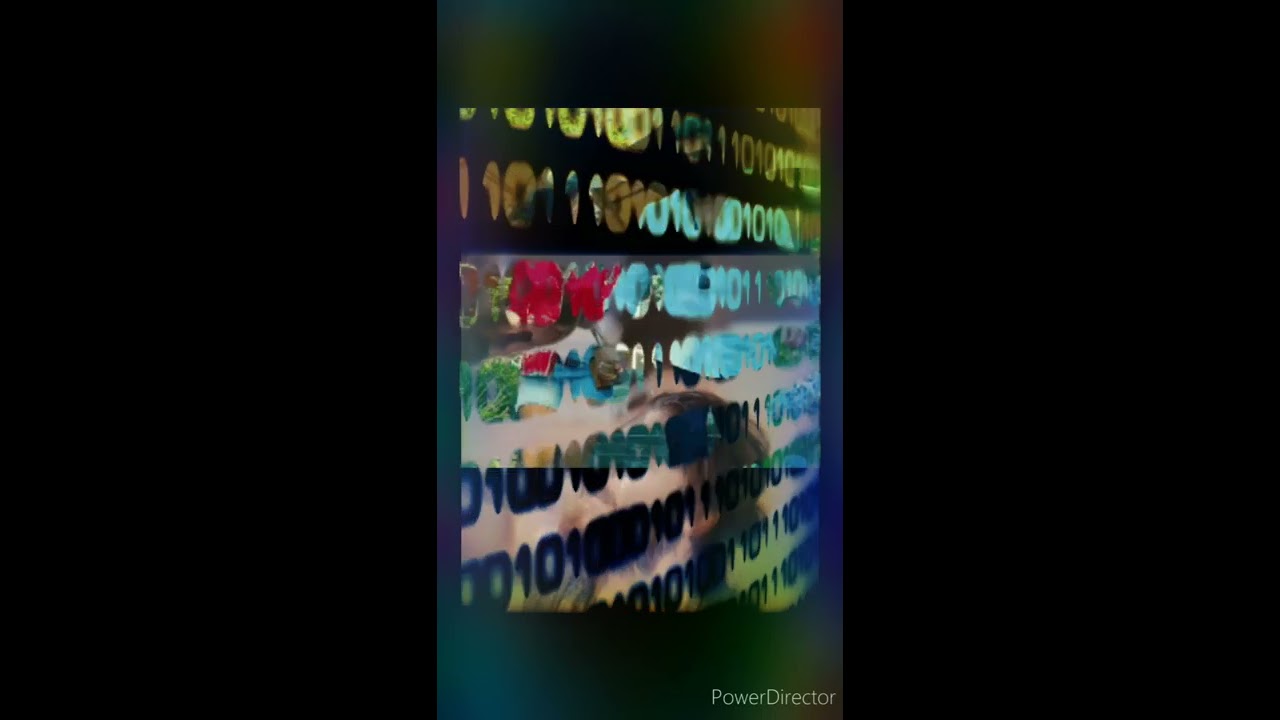 CAN YAMAN AMORE CONTRO CORRENTE 🇮🇹💖🇹🇷