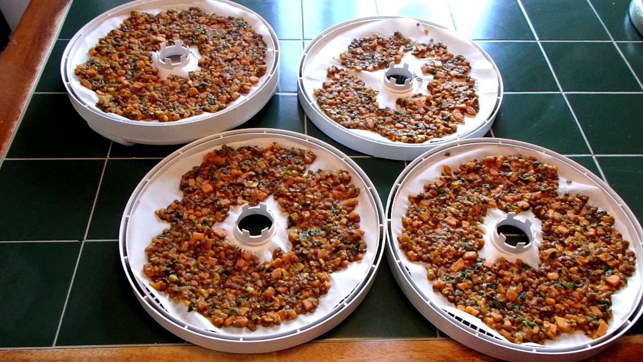 Food: #4 Lentil and Sweet Potato Dal Dehydrated Meals