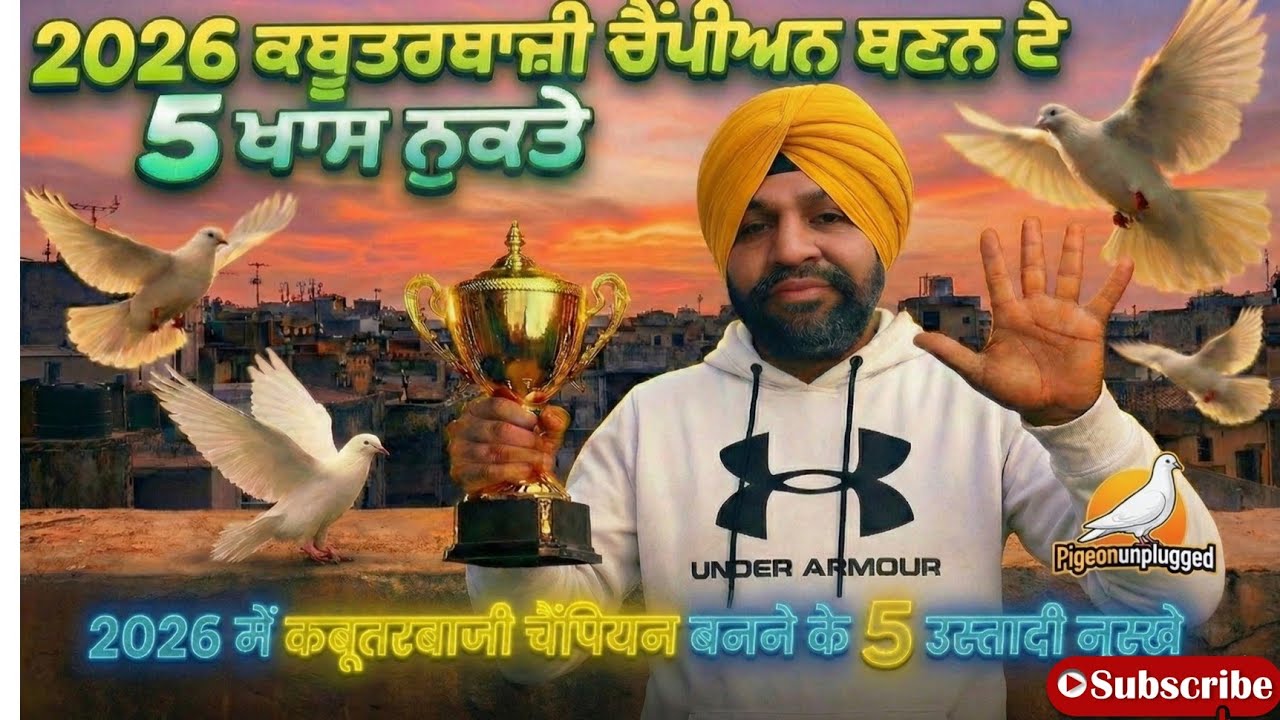  ਆਹ 5 ਨੁਕਤੇ ਵਰਤੋ 2026 ਦੀਆ ਬਾਜ਼ੀਆਂ ਤੁਹਾਡੀਆਂ🎯 || 5 Tips Become 🏆 In 2026 || @pigeonunpluged 