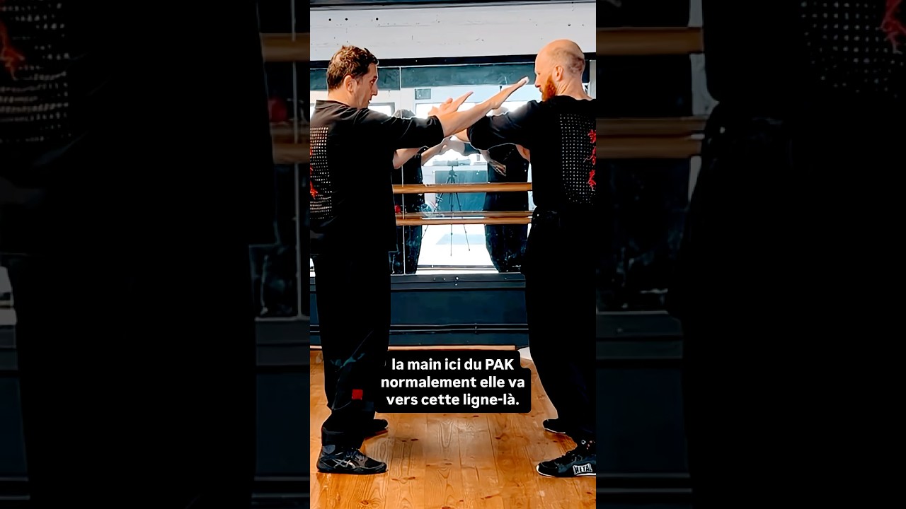 Wing Chun Basics ⛩️ Couvrir la ligne centrale avec TAN-PAK
