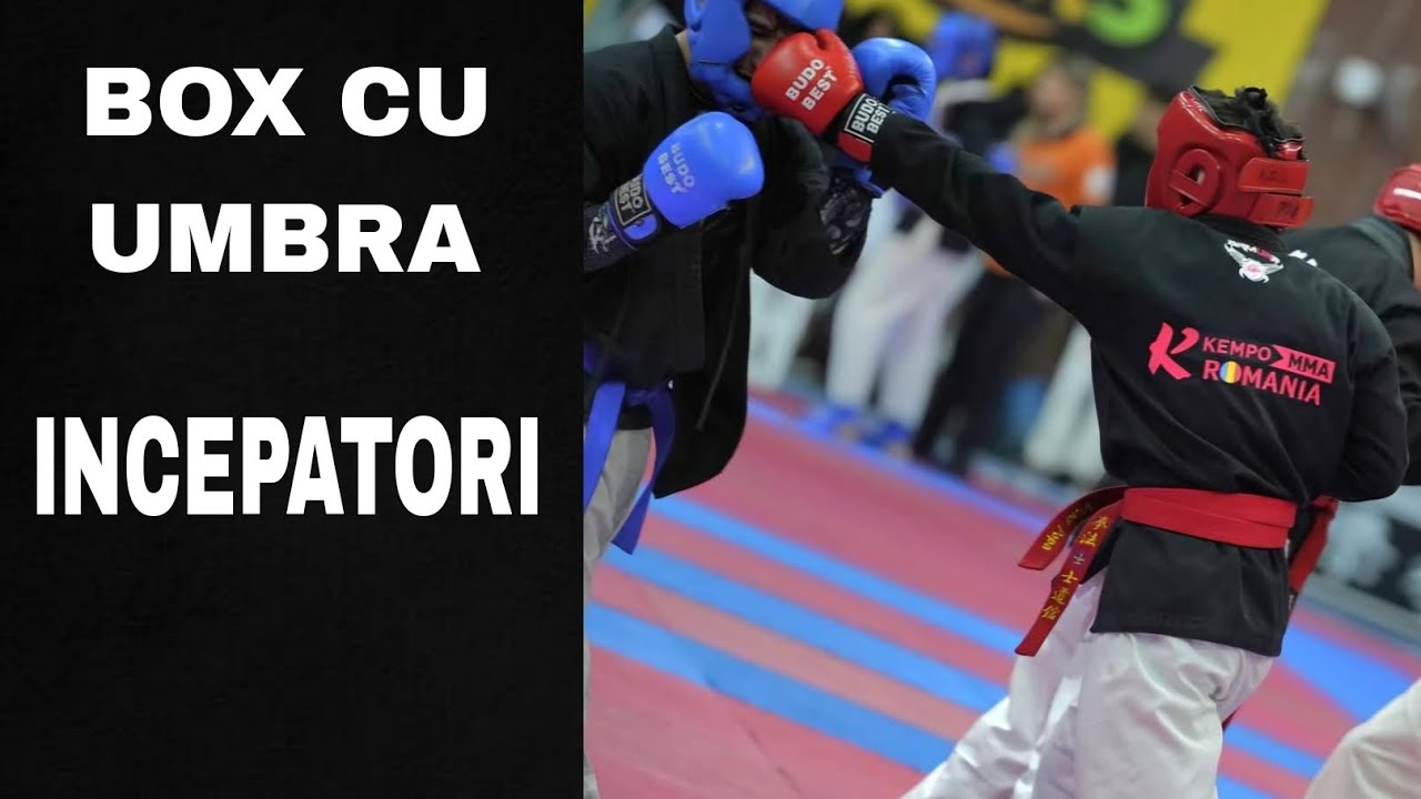 Antrenament ghidat pentru incepatori| Box cu umbra| Box, Kickbox, MMA