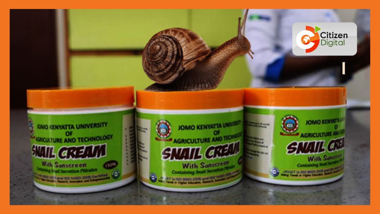 Made In Kenya | Snail farming as a viable agricultural venture