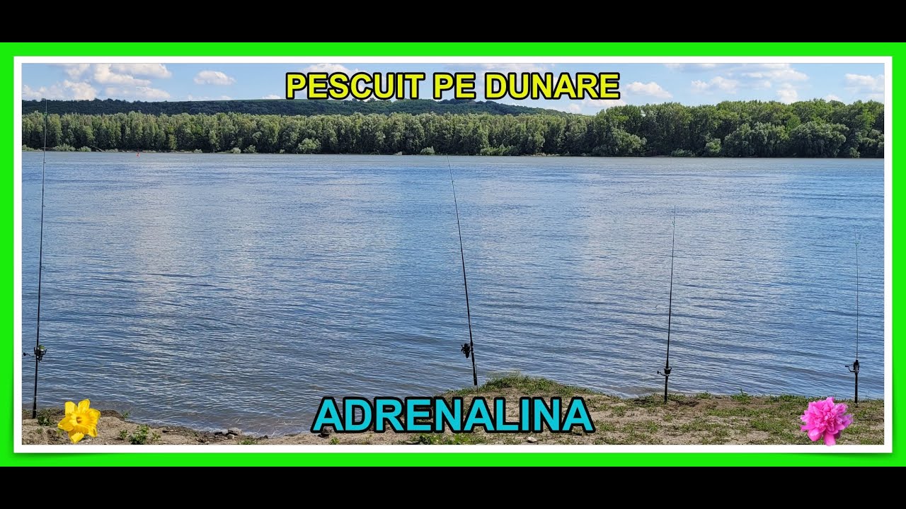 #Pescuit pe #Dunare, la somn...Oltenita