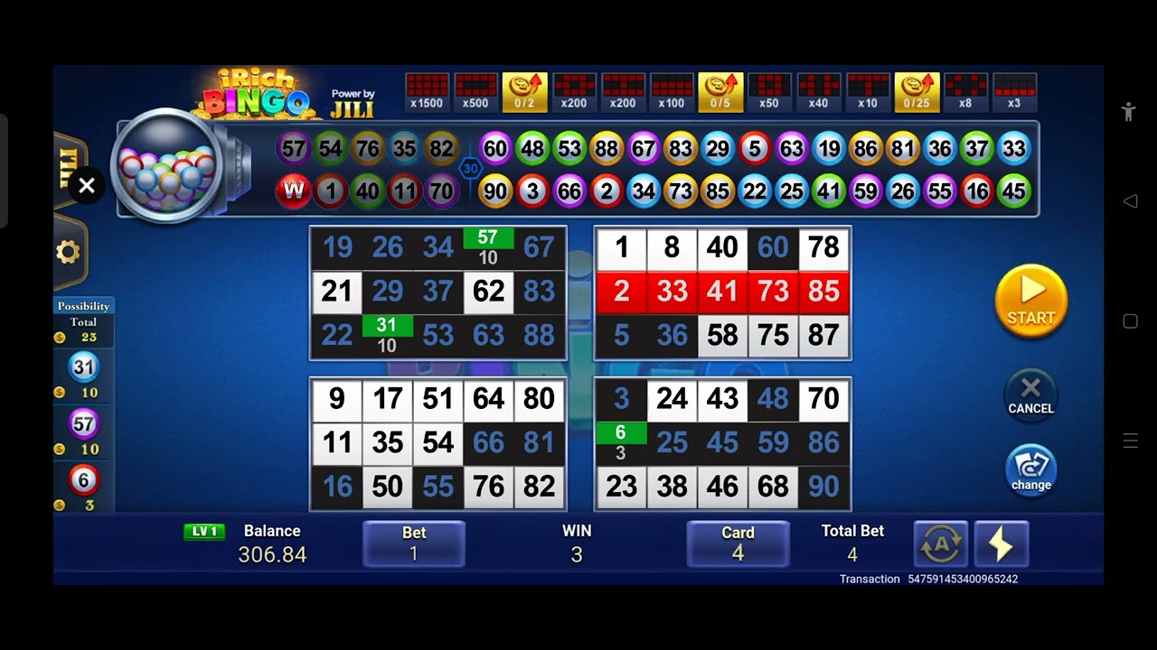 I rich bingo always makes money