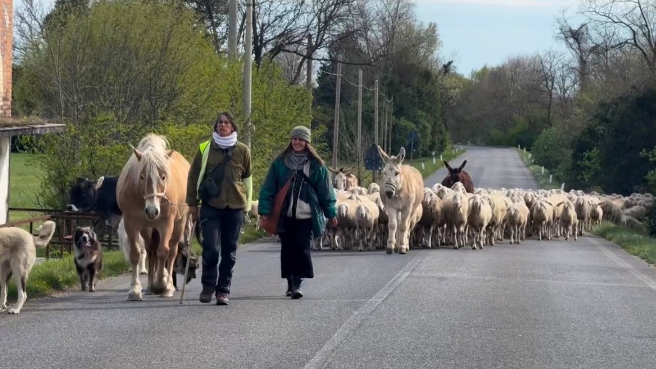 Pasqua in transumanza con Margherita