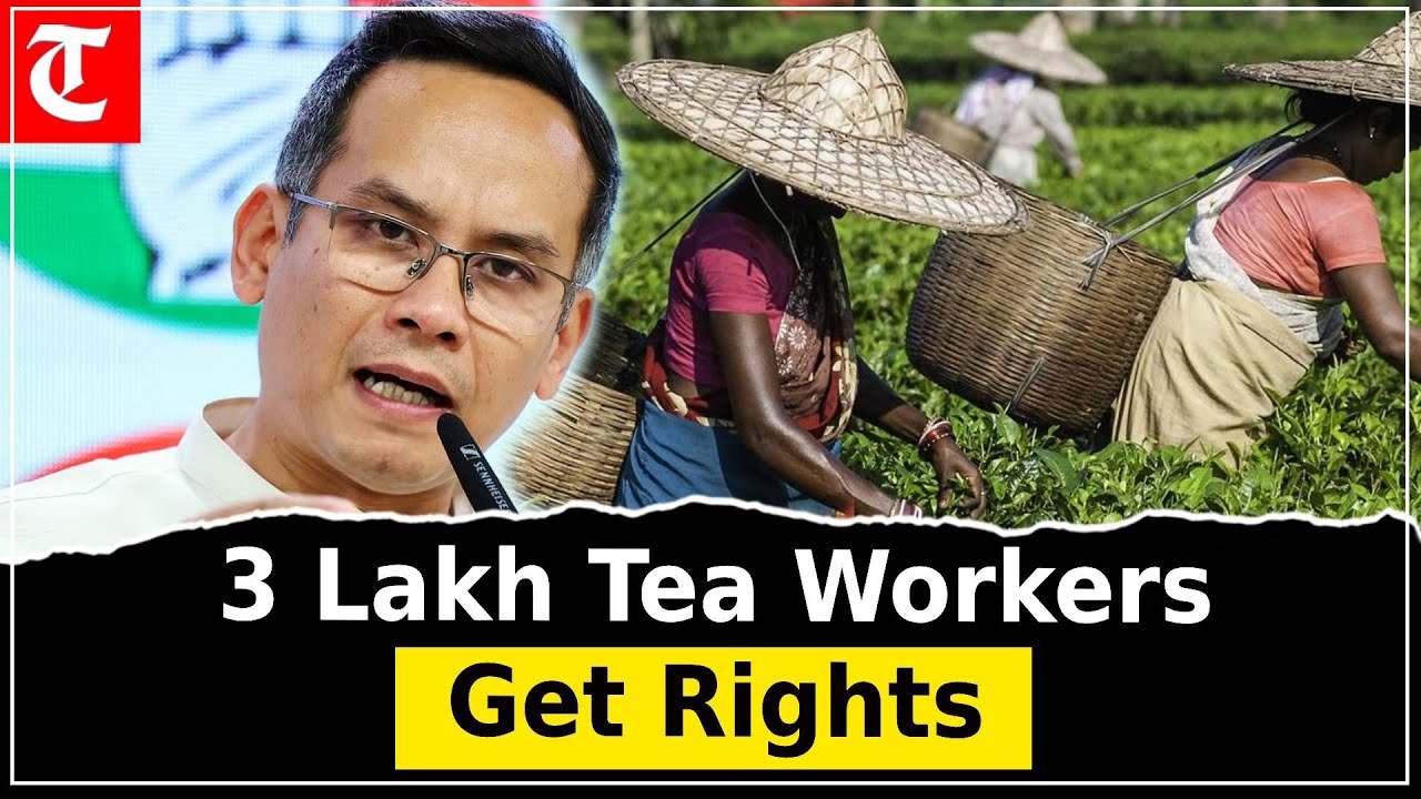 Assam Assembly Passes Landmark Bill Granting Land Rights to 3 Lakh Tea Garden Workers