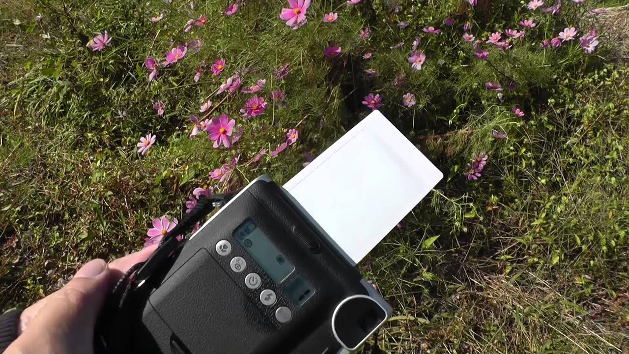 FUJIFILM instax mini 90　二重露光どうぶつ（Double Exposure Animals)