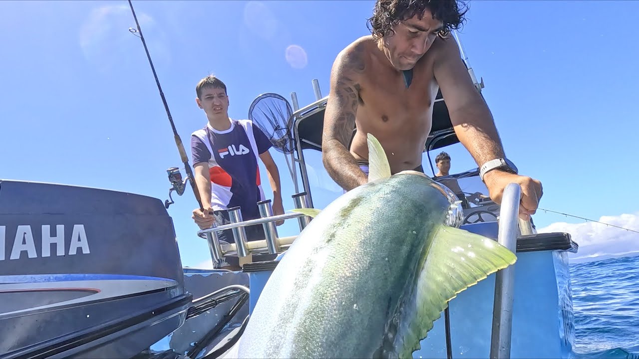 Spearfishing BIG Kingfish and Snapper and grabbing Crayfish for an unveiling....