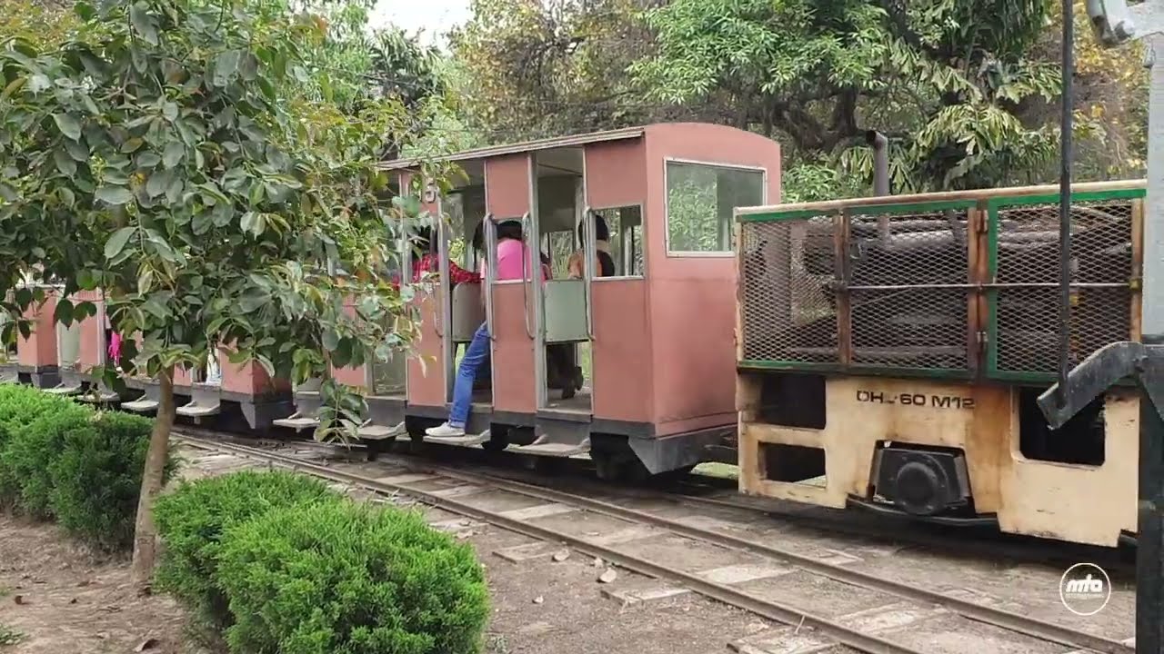 Changa Manga Forest | Seeru Vlog