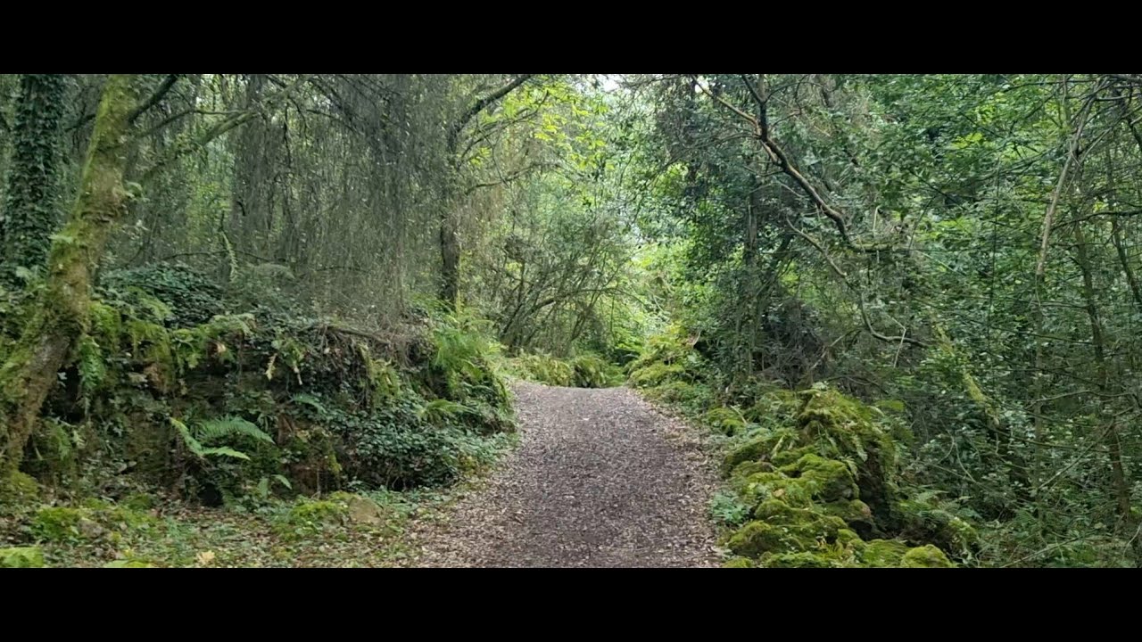 Camino Primitivo in Summer: The Entire Route in 7 Minutes