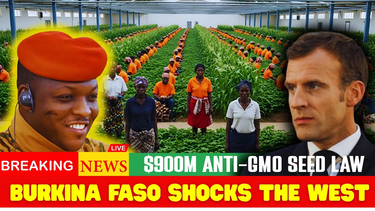 Why Burkina Faso’s $900M Anti-GMO Law Is Shaking the West to Its Core!