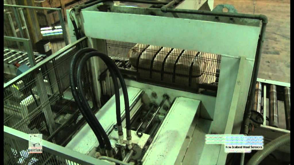 NZ Wool from Farm to Carpet