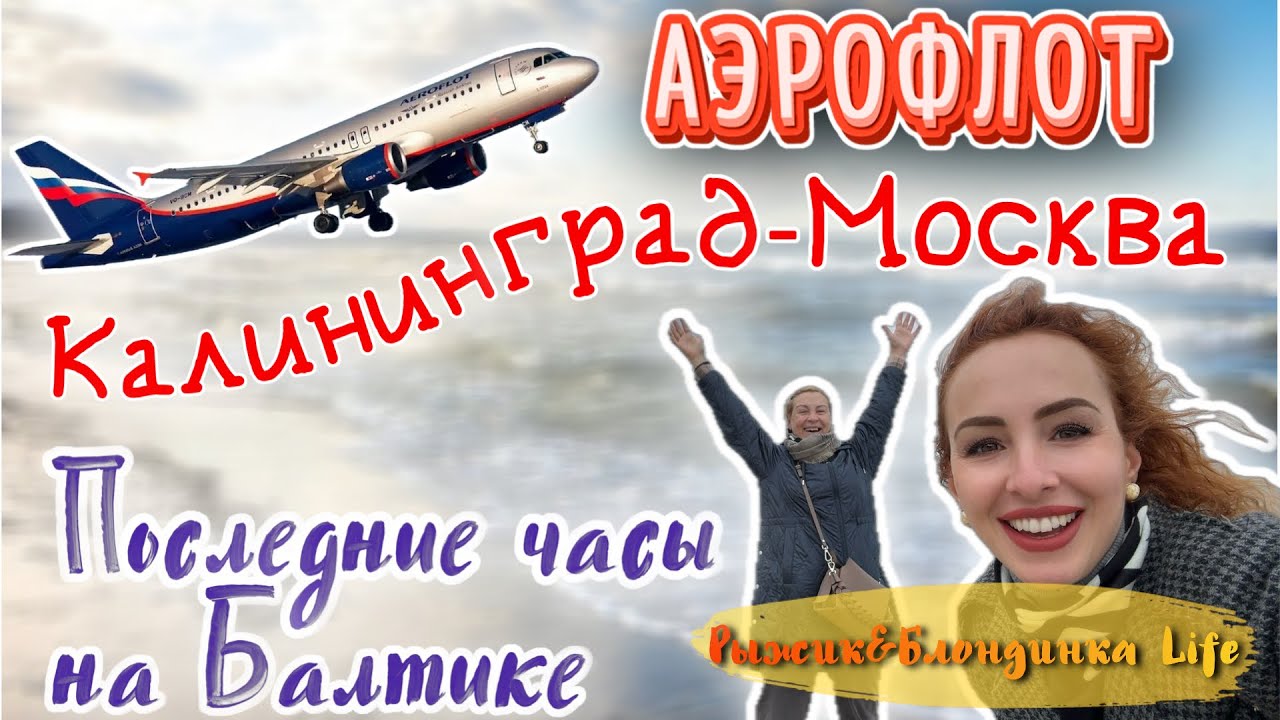 ПОСЛЕДНИЙ взгляд на БАЛТИКУ👋 АЭРОФЛОТ эконом: Калининград - Москва ✈️Цены в аэропорту Калининграда 💰