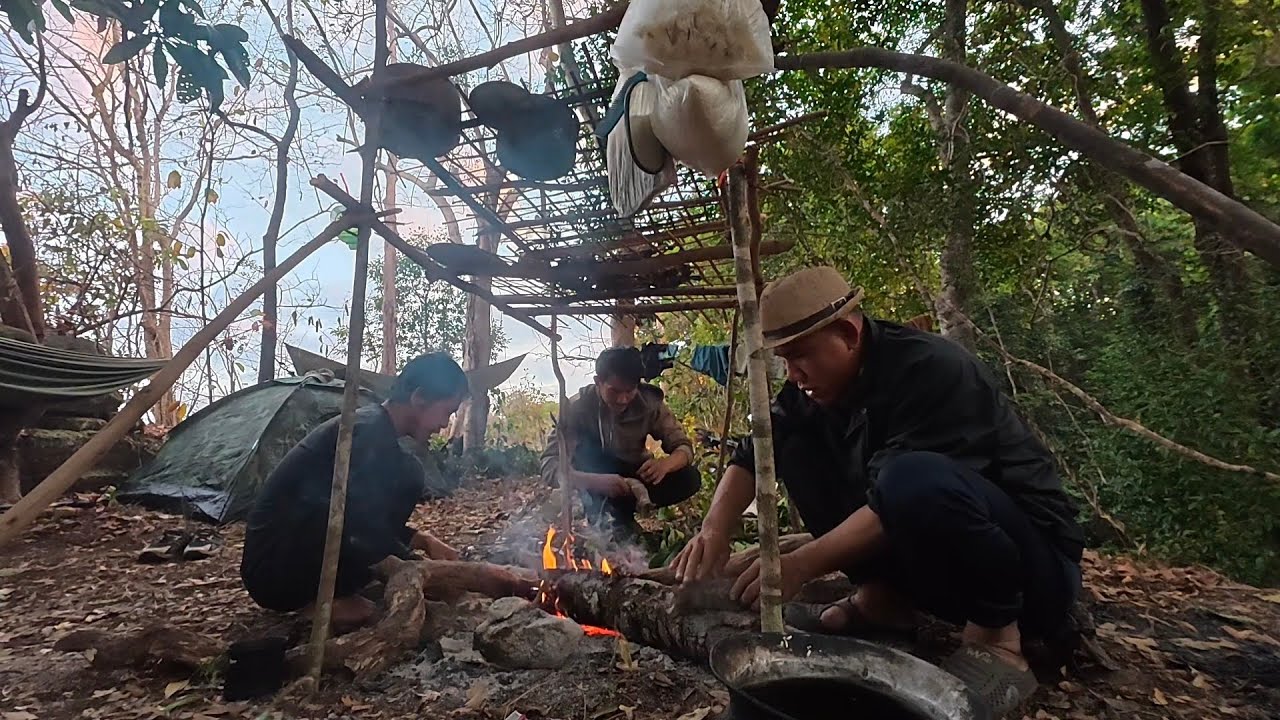 ທີມງານເຝົ້ານົກກິນໝາກໄຮ//ทีมงานเฝ้านกกินหมากไฮ Dong Una