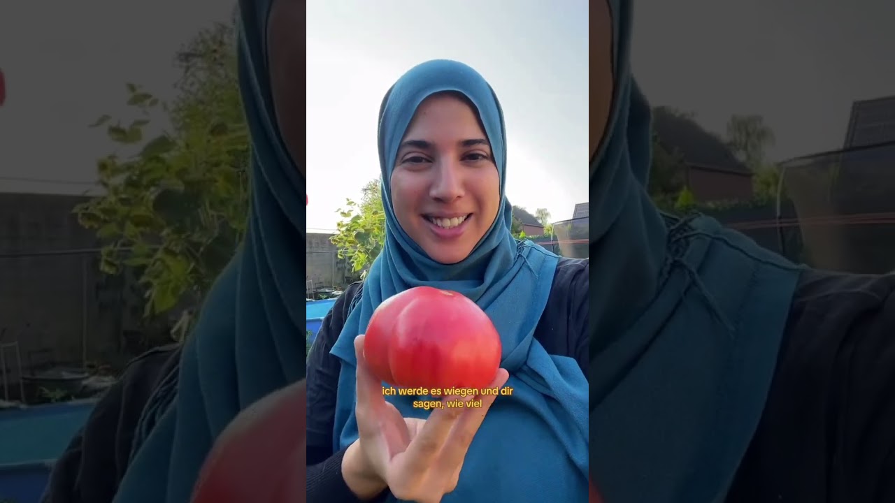 حصاد اول شهر 9 من حديقتي في ريف المانيا جزء 1