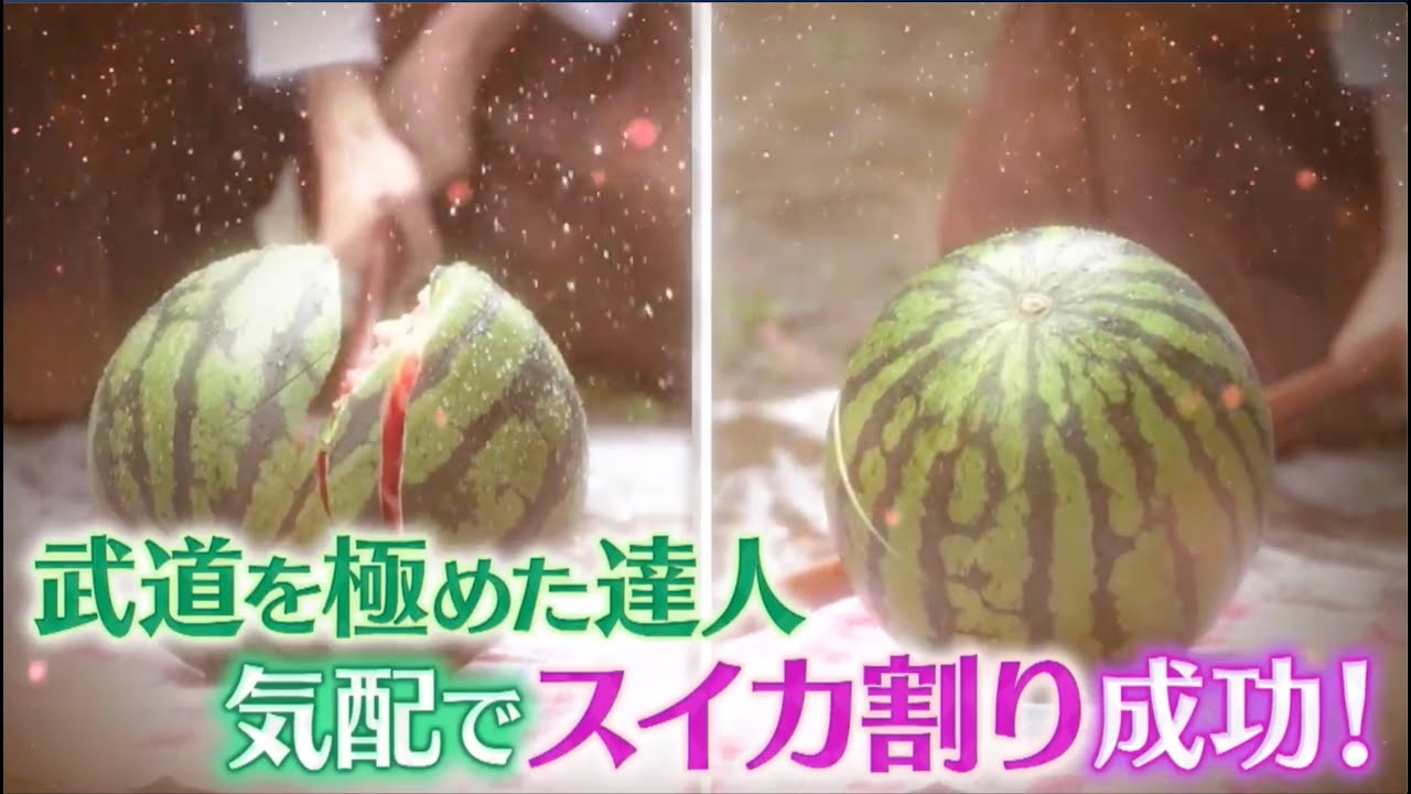 剣武天真流スイカ割り(テレビ放送)~KENBU TENSHIN RYU~Watermelon Splitting