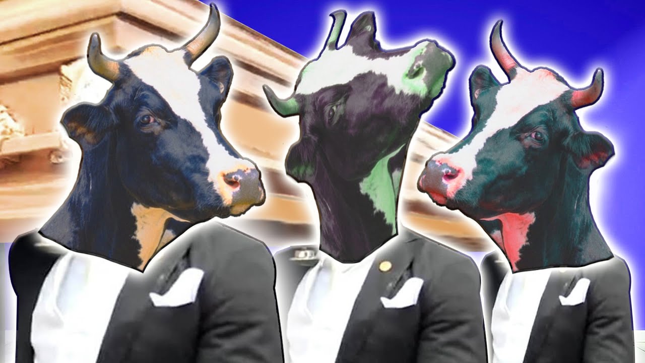 Cow 