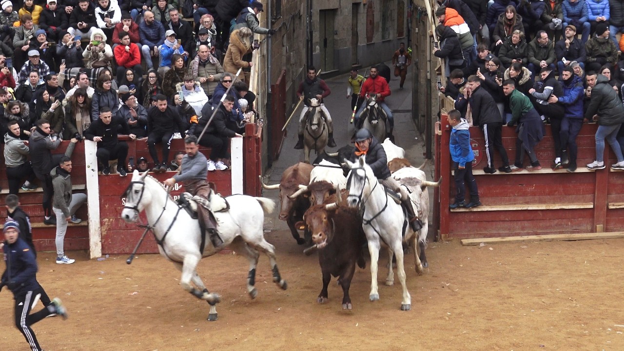 Ciudad Rodrigo 2026 Carnaval del Toro,Encierro del domingo