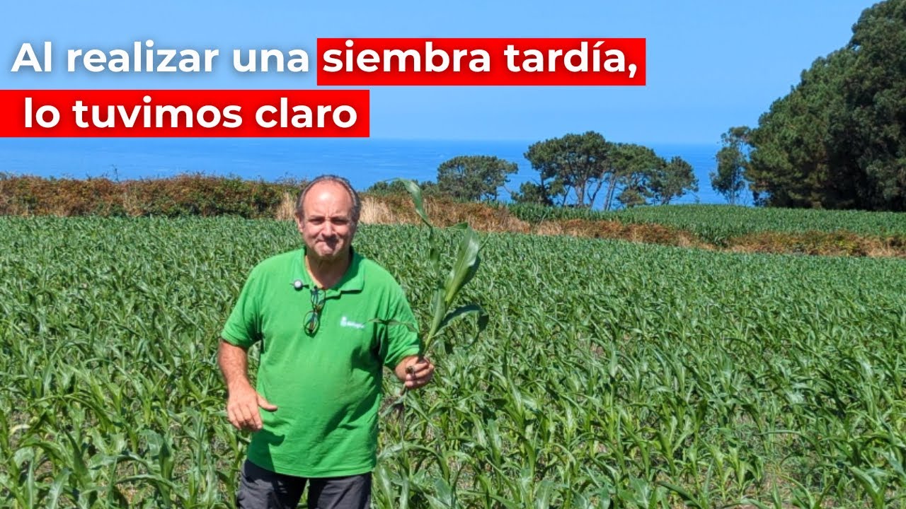 Asesoramiento técnico con Yara Amplix Optitrac | SAT Foncalada y Delagro