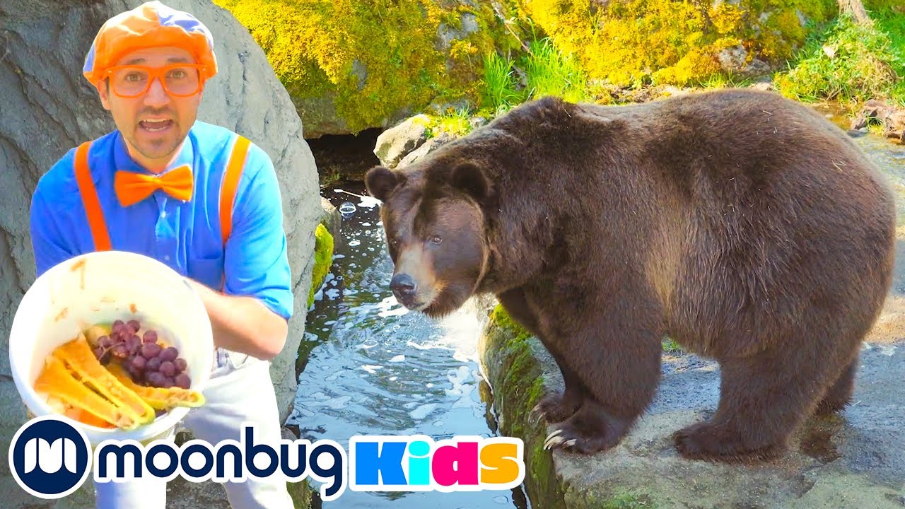 Blippi Feeds the Zoo Animals | Moonbug Kids TV Shows - Full Episodes | Cartoons For Kids