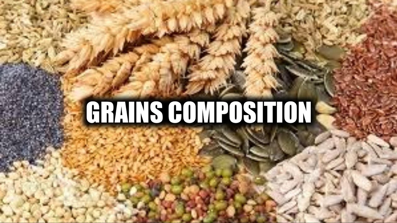 Kalapati ni Kirkey | Power Grains for RACING PIGEON 