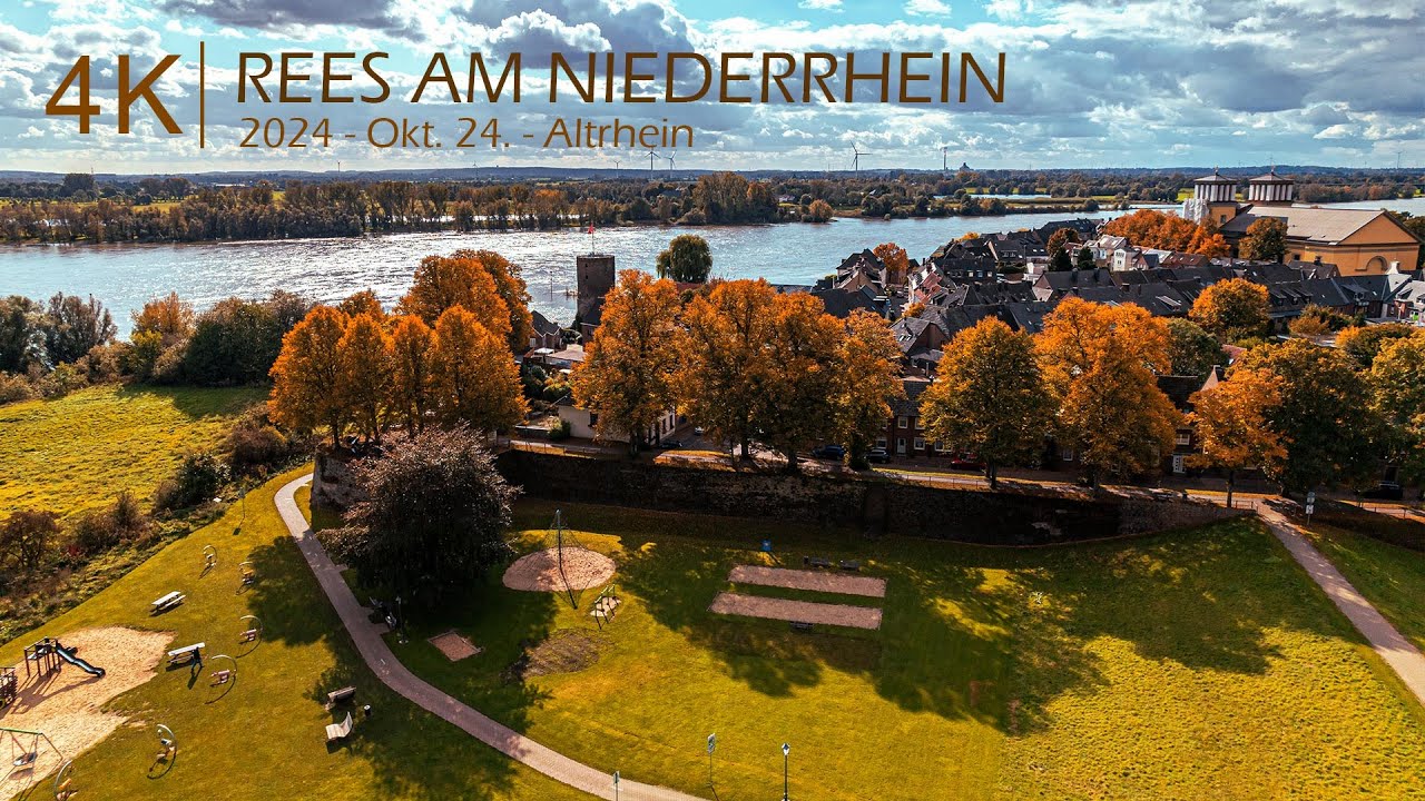 🦆 Altrhein, Rees am Niederrhein | 24. Okt. 2024