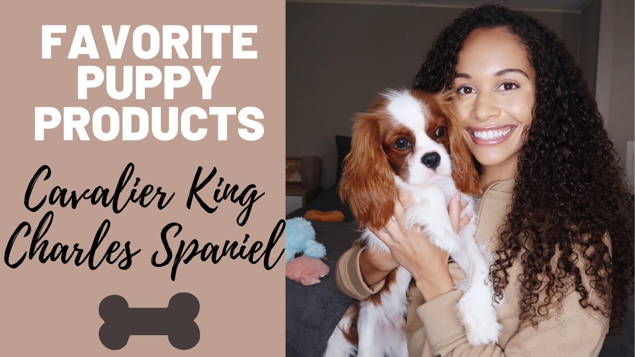 Favorite Puppy Products & Essentials | Cavalier King Charles Spaniel