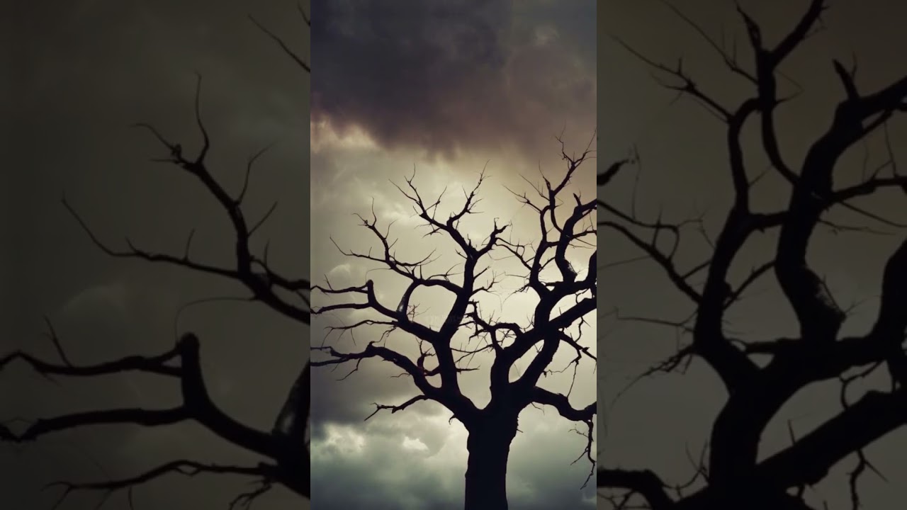 Endles Decay | metalcore extreme metal  #heavymusic #breakdown