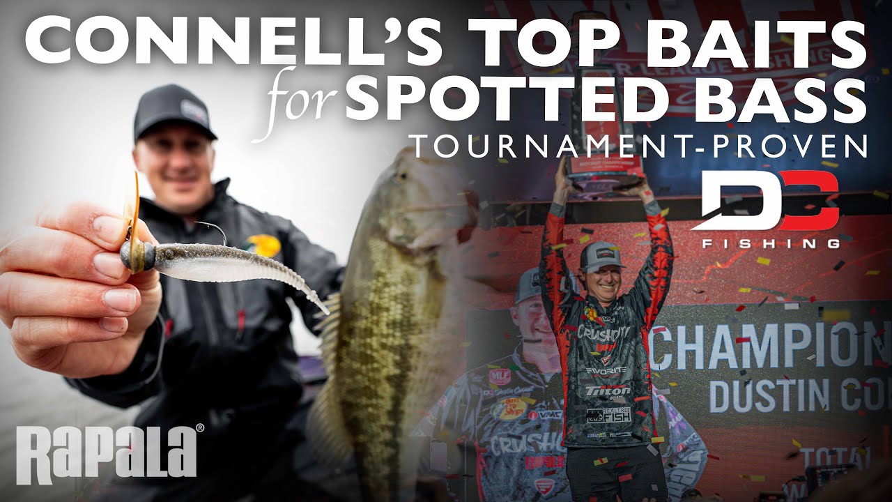 CrushCity&trade; | DC's Top baits for Spotted Bass.