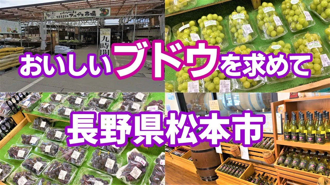 長野県松本市 ぶどうは直売所が安い？オススメはどこ？