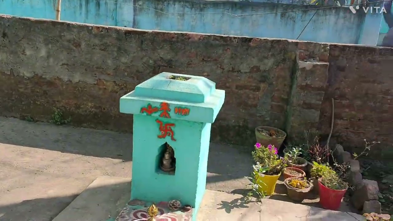 অনেক দিন পরে তোমকদের কে আমার বাড়িতে ফুল গাছ গুলো দেখালাম 😯🥀🥀😯