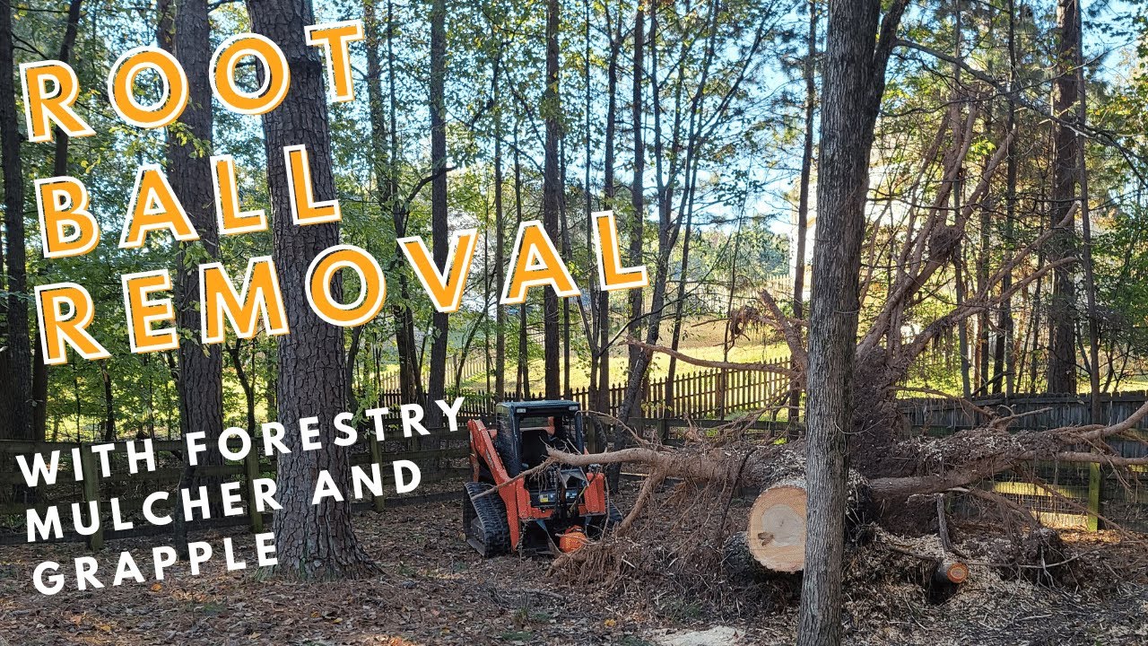 Grinding a Stump With a Forestry Mulcher