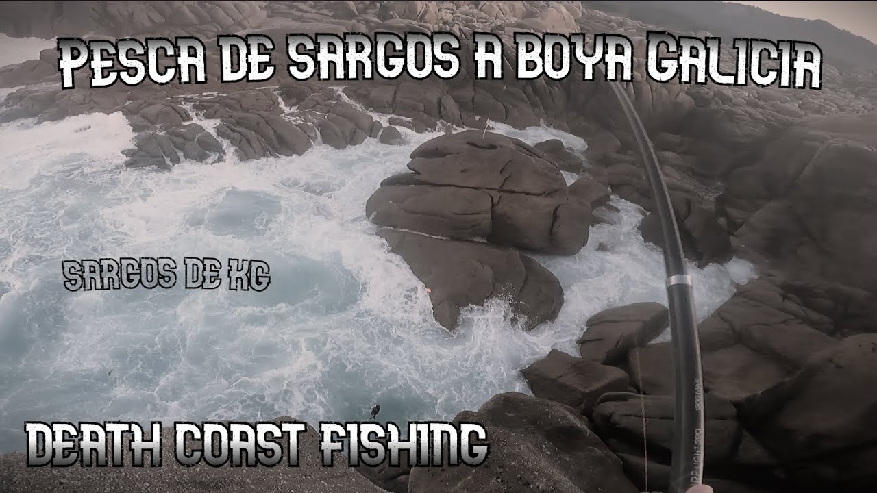 Pesca de SARGOS a boya GALICIA