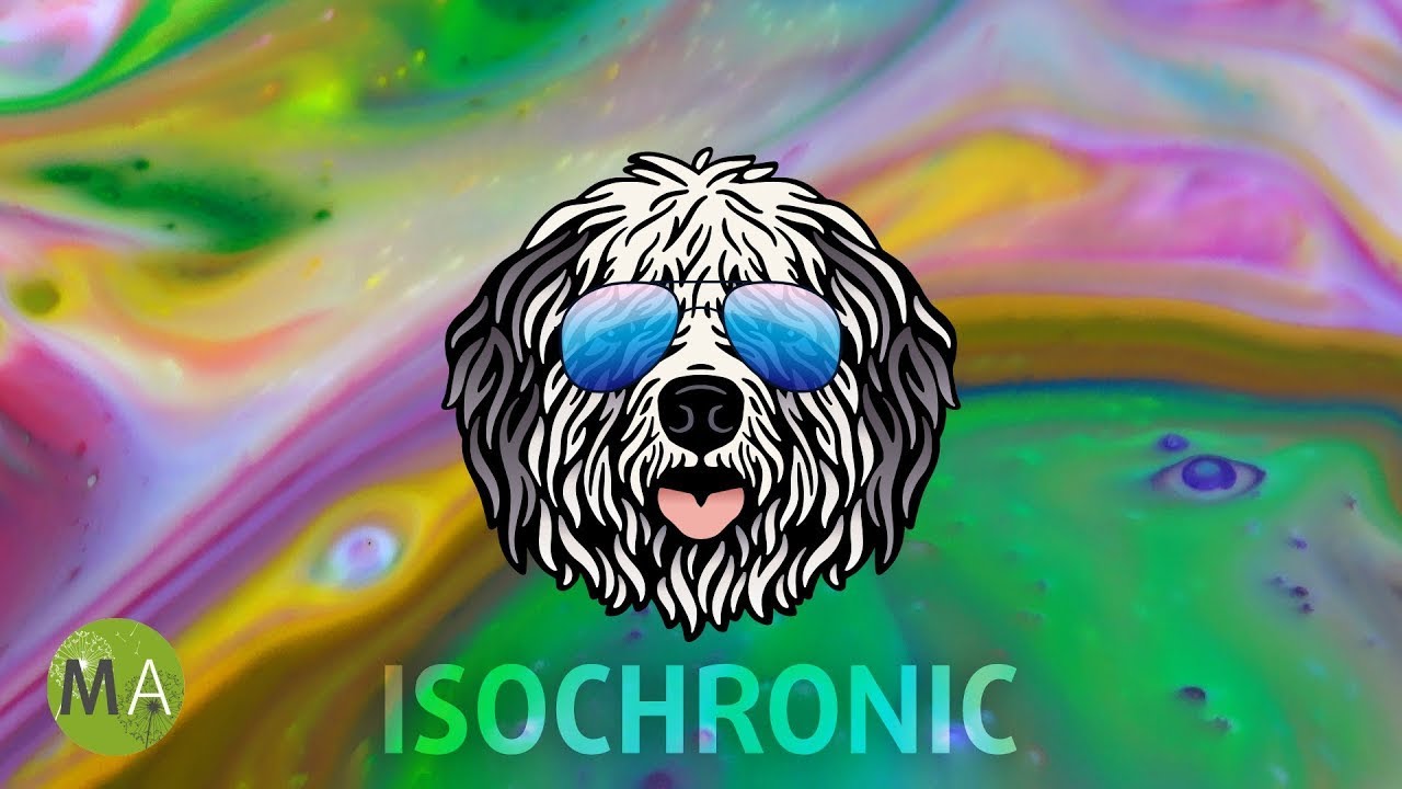 Upbeat Study Music House (Sheepdog Mix) for Peak Focus with Beta Isochronic Tones